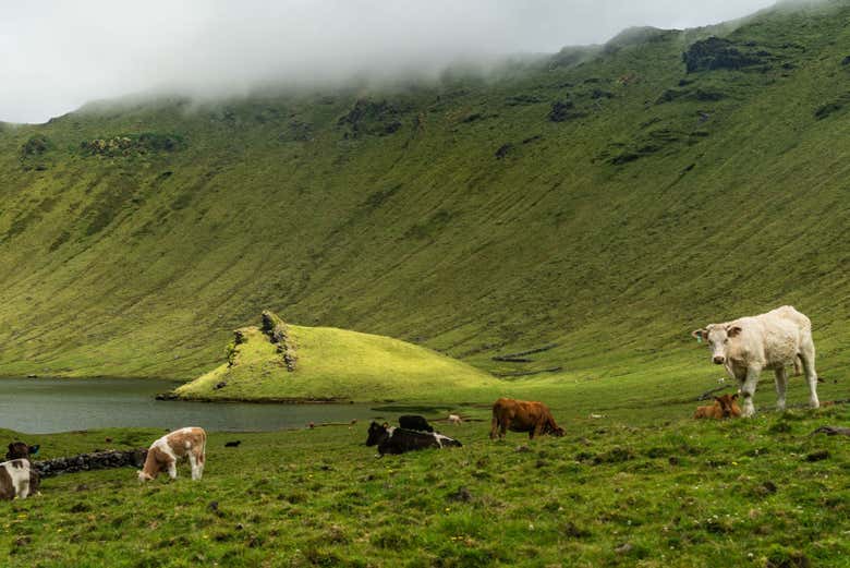 Vista de la Isla de Corvo en Azores