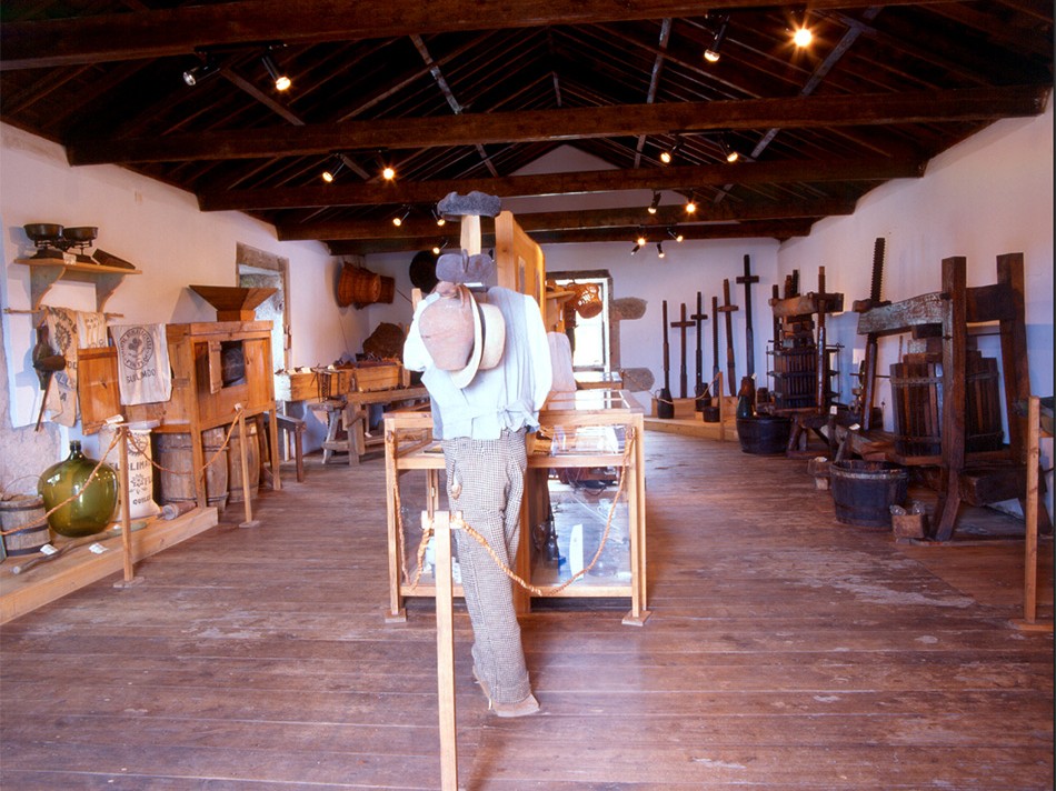 Museo del vino en Biscoitos