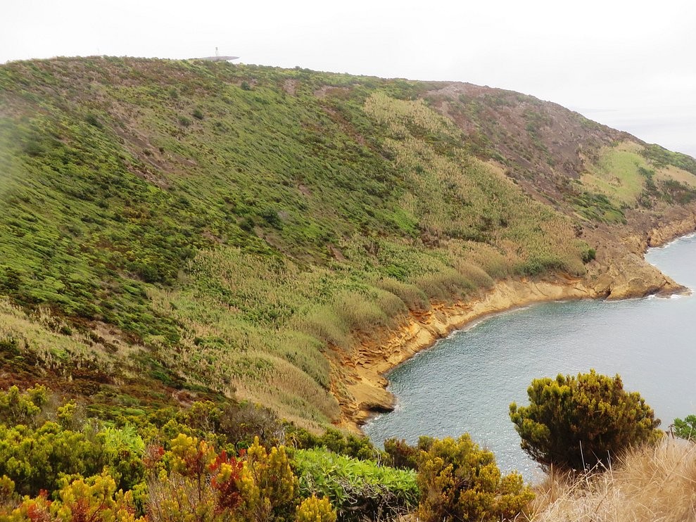 Monte Da Guia Walking Trail